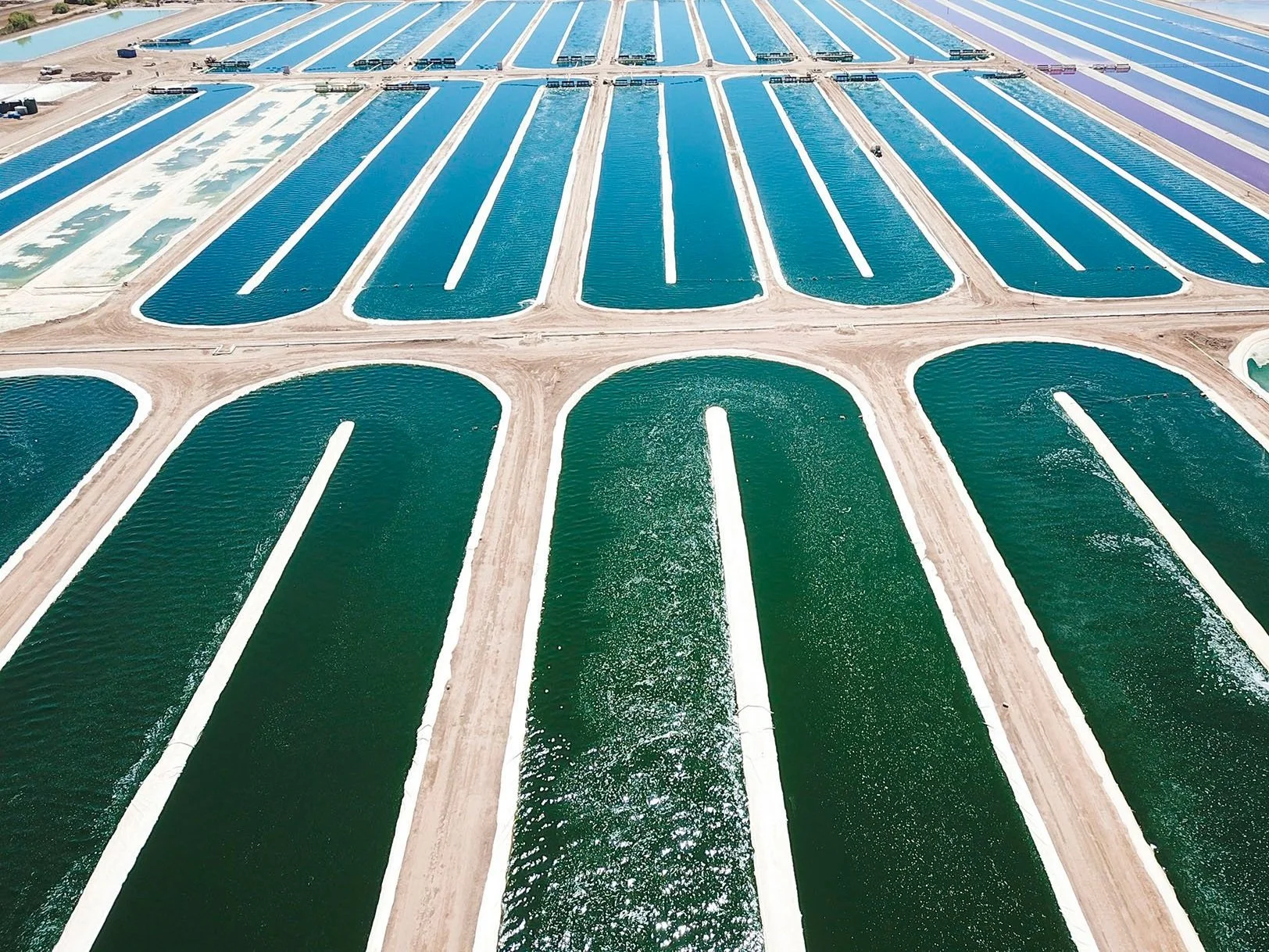 Living Ink Technologies