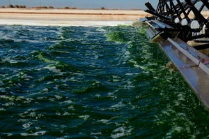 Living Ink Technologies