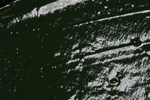 Living Ink Technologies