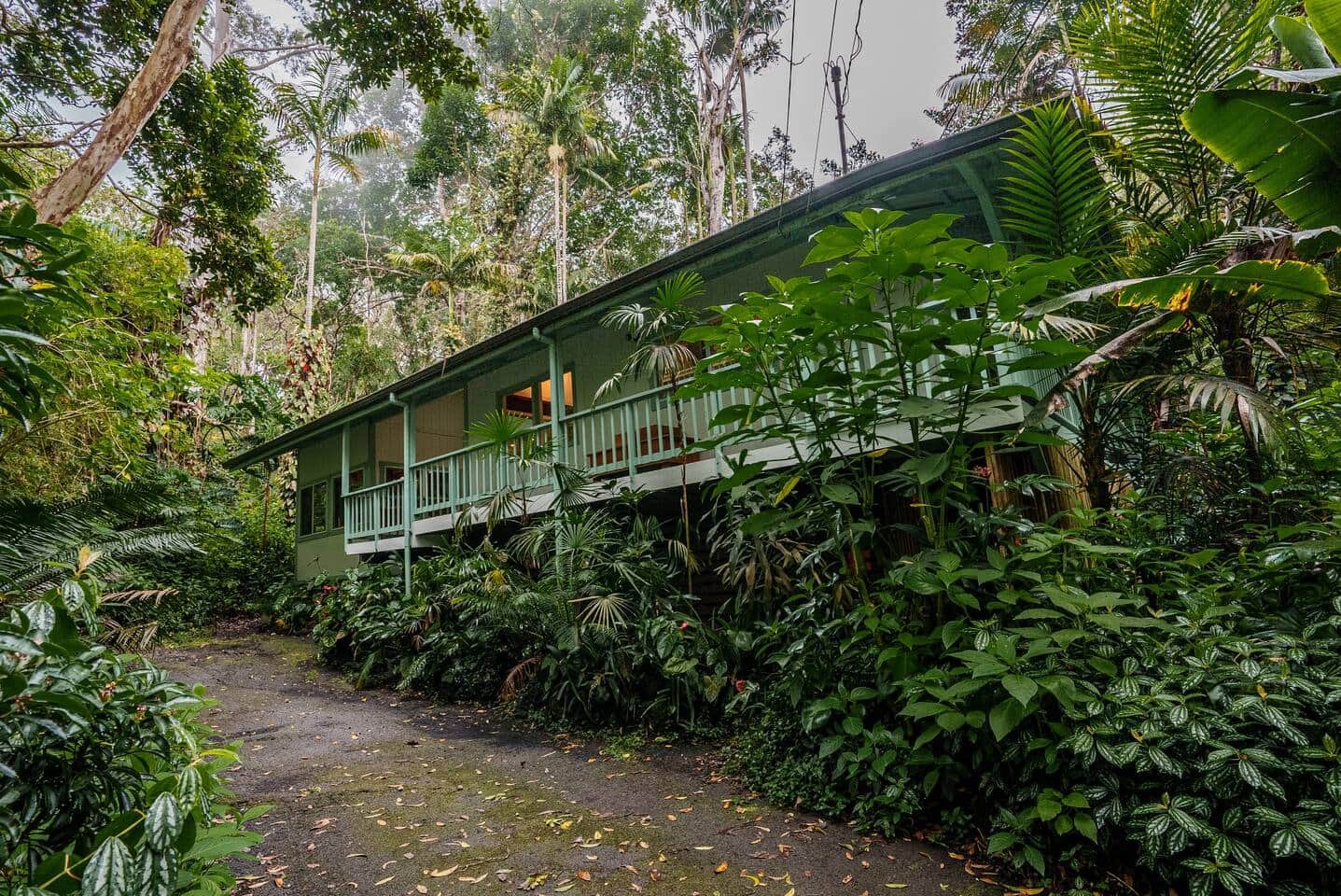 A house on stilts surrounded by dense tropical greenery, with a gravel path leading up to it.