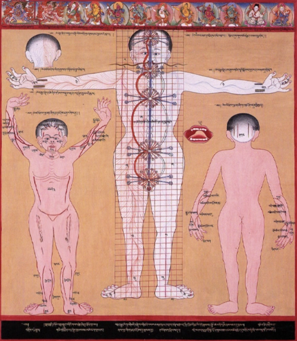 How Can A Root Chakra Imbalance Disrupt Your Entire Energy System?