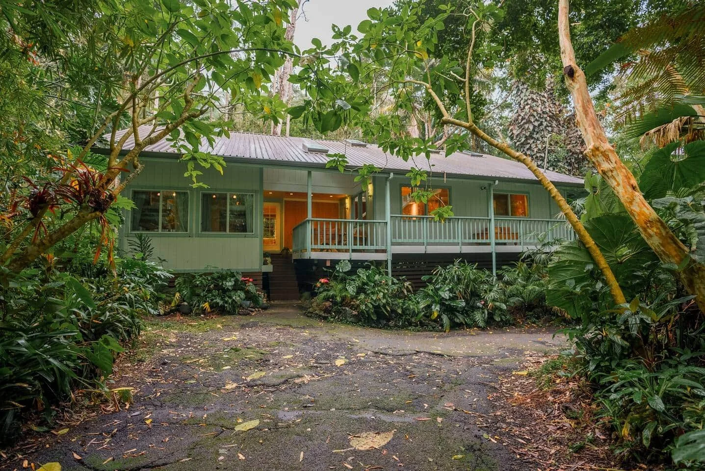 A cozy house with a green exterior surrounded by lush greenery and trees, with a dirt driveway leading up to it.