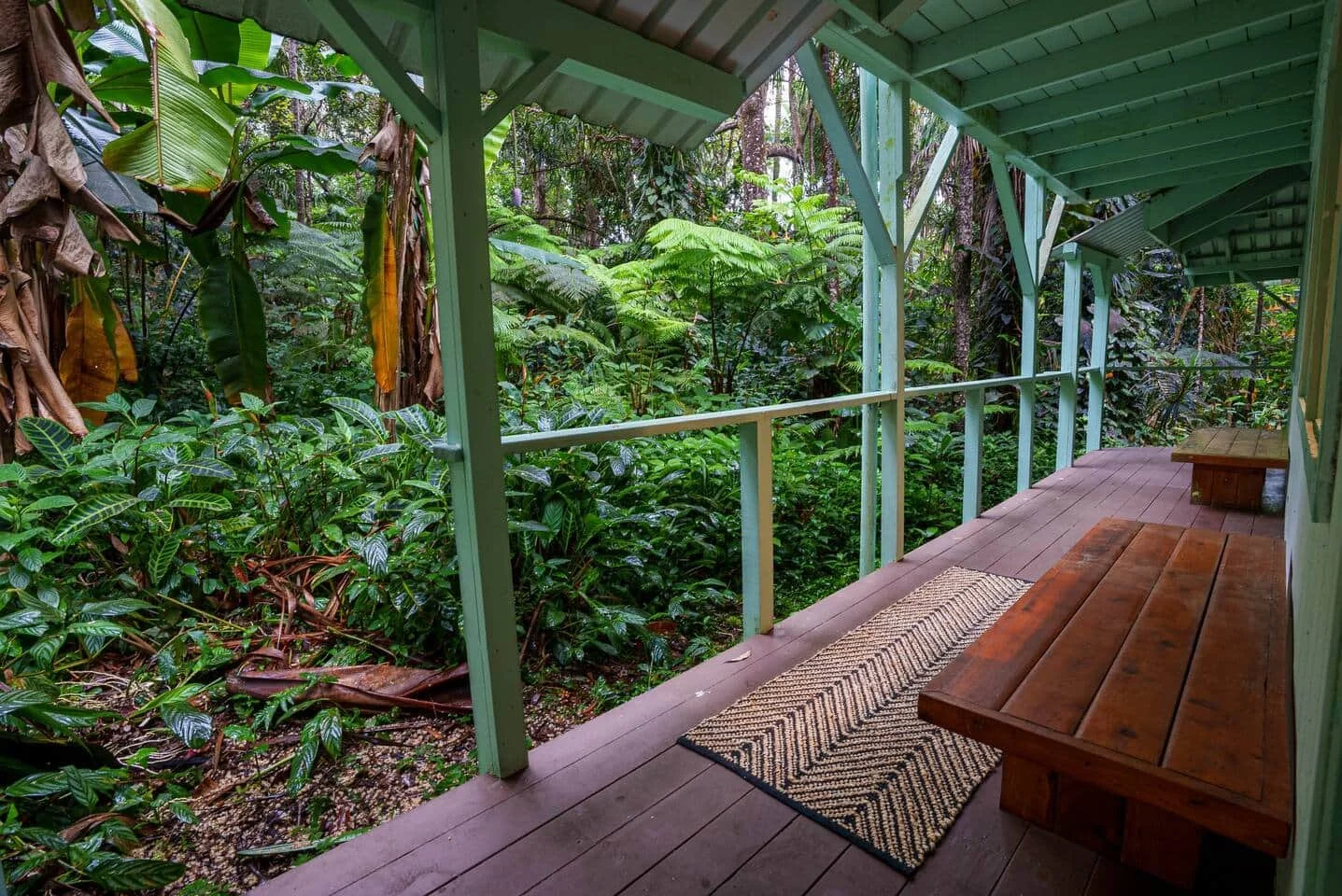A covered wooden balcony with two benches overlooks dense tropical jungle foliage.