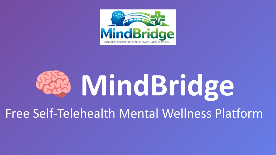 MindBridge19Presentation final.png