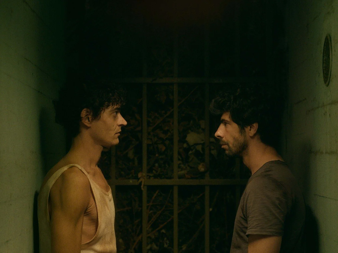 WTW Still 2.jpg