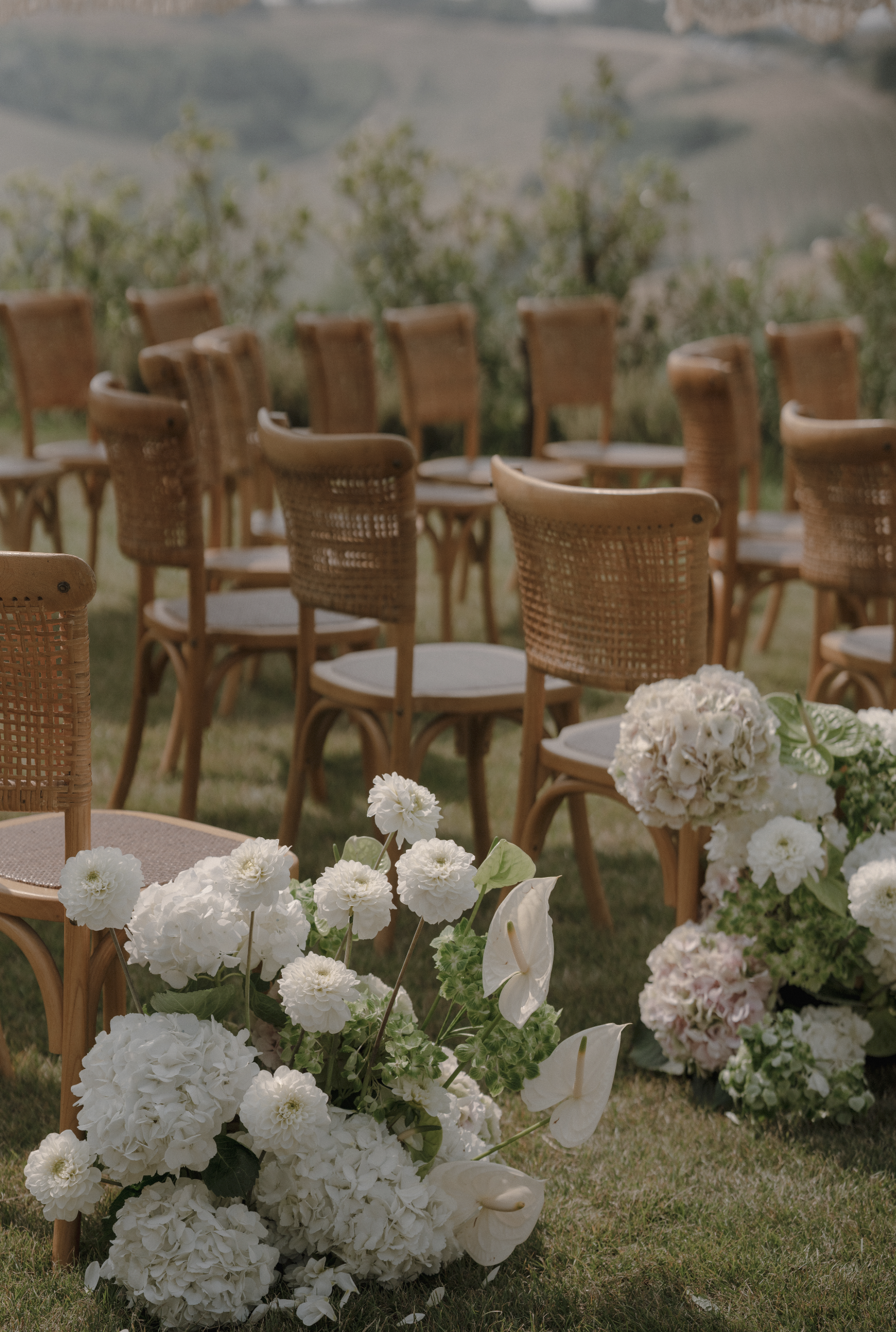 Screenshot 2026-02-25 at 1.45.15 PM.png