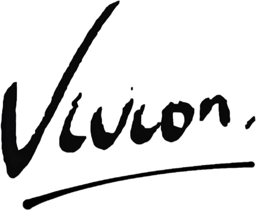 VIVION CO.