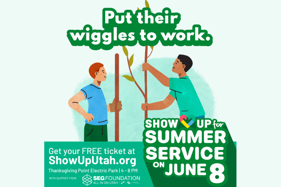 Show Up for Service Summer Fair