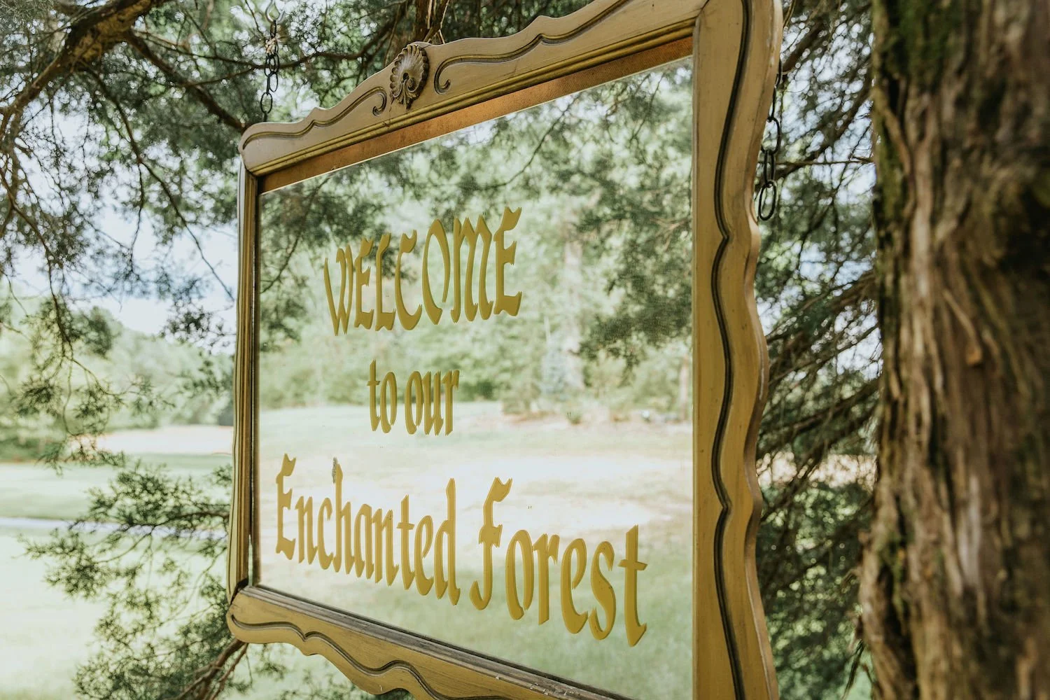 Raleigh outdoor wedding venue with mirror hanging in wooded area saying welcome to our enchanted forest showing reflection of the lush grounds