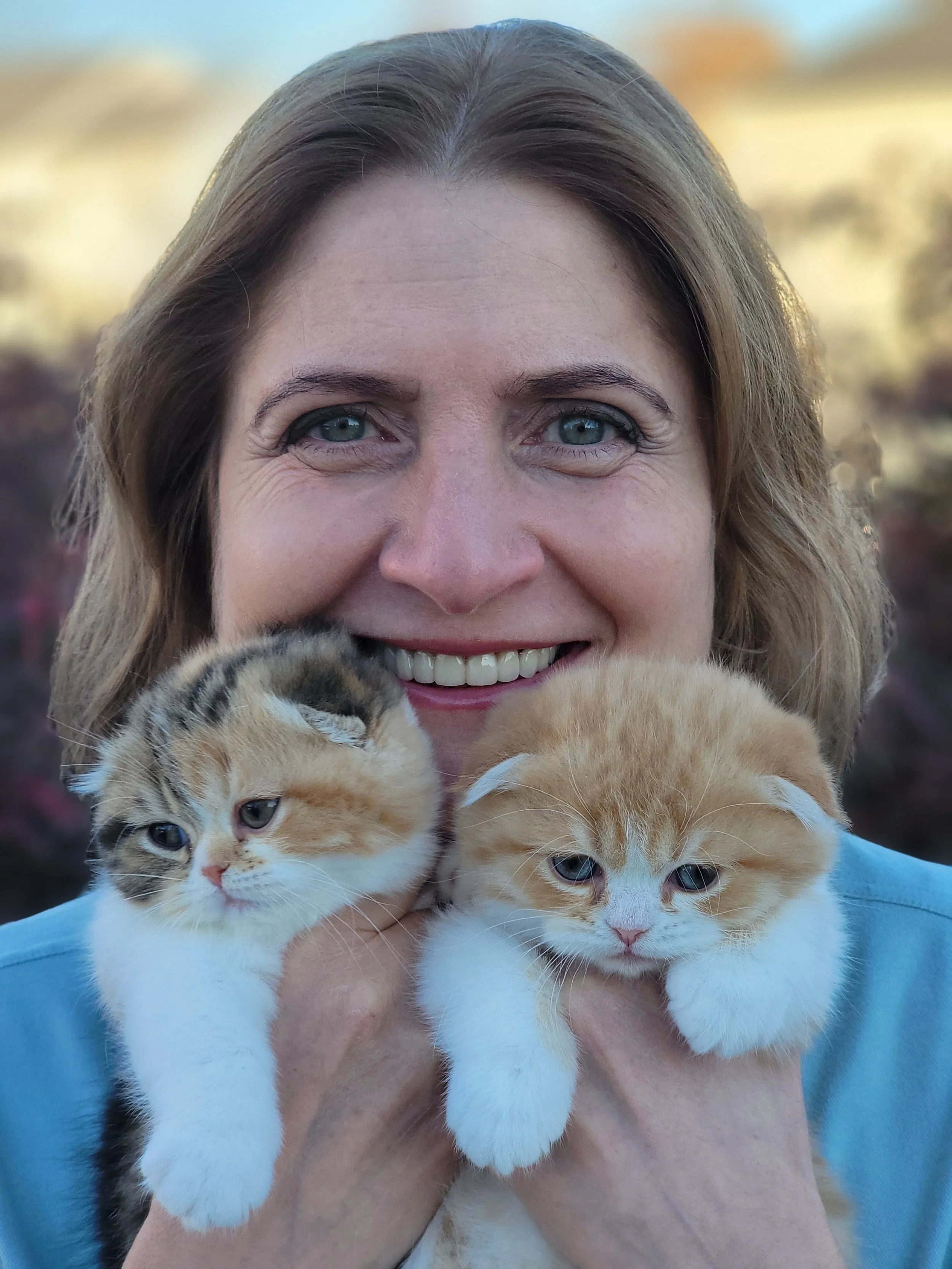 Tanya, PurrfectlyFold breeder,  holding two adorable kittens, one calico and one orange, close to her face outdoors with blurred greenery in the background.