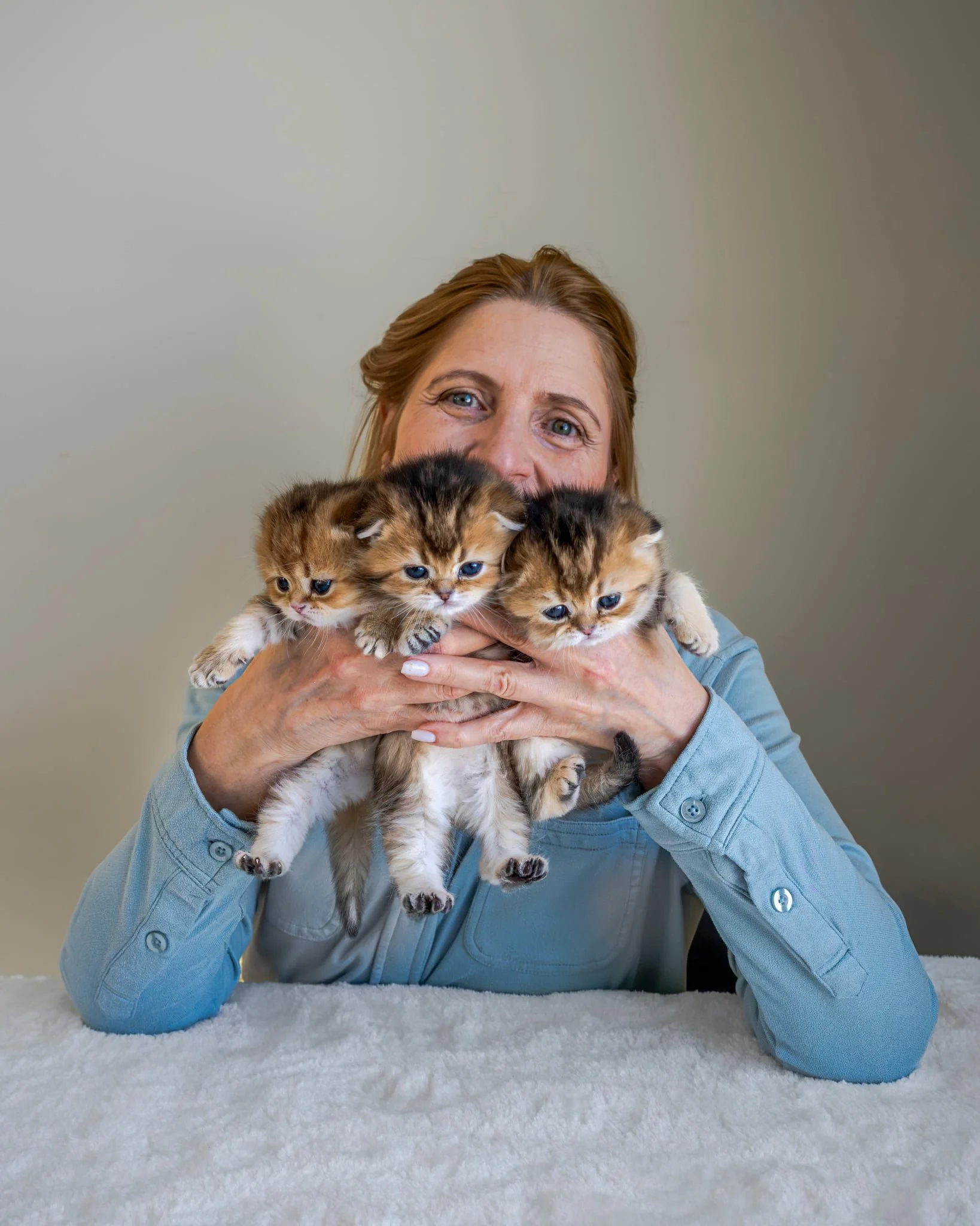 Cat breeder in Bucks County PA holding three Scottish Fold kittens