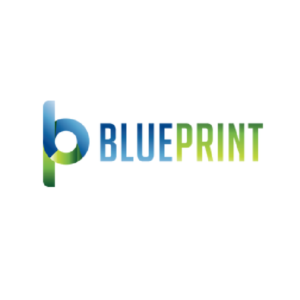 The Blue Print Foundation Partnership or Client Relationship