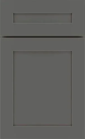 Close-up of a gray cabinet door with a horizontal rectangular handle.