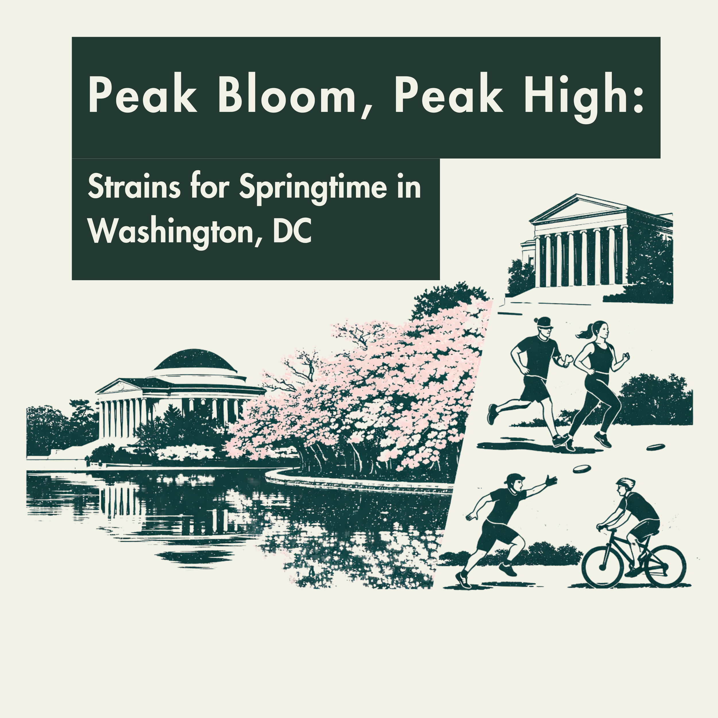 Peak Bloom: Strains for Springtime in DC