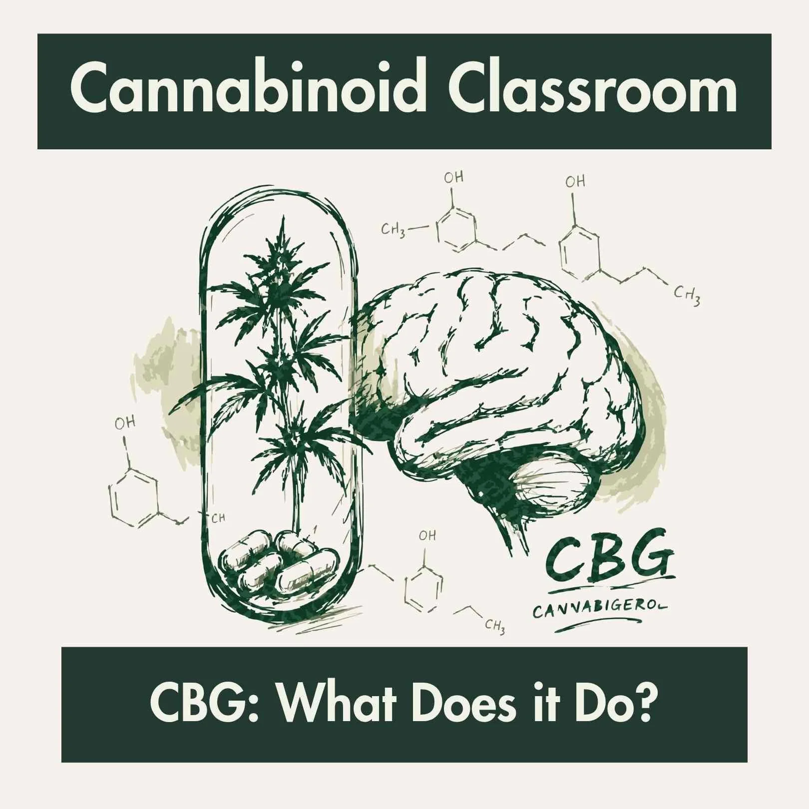 Cannabinoid Classroom: Getting to Know CBG