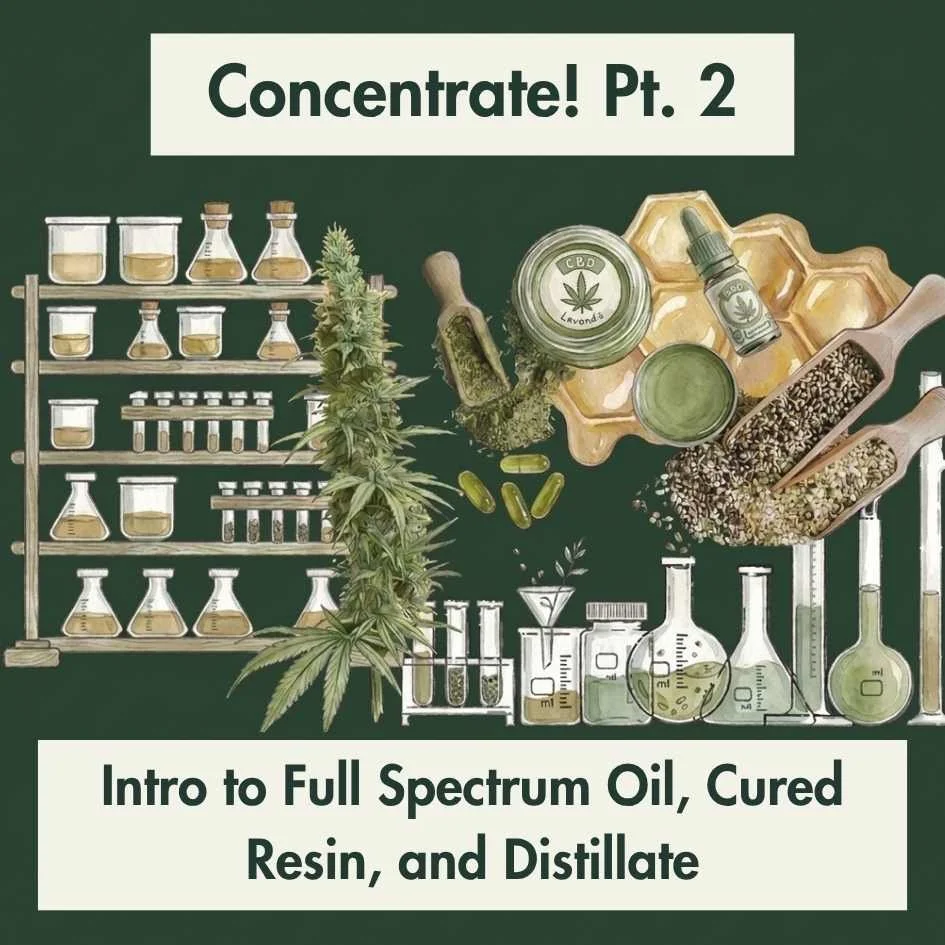 Concentrate! A Guide to Cannabis Concentrates Pt. 2