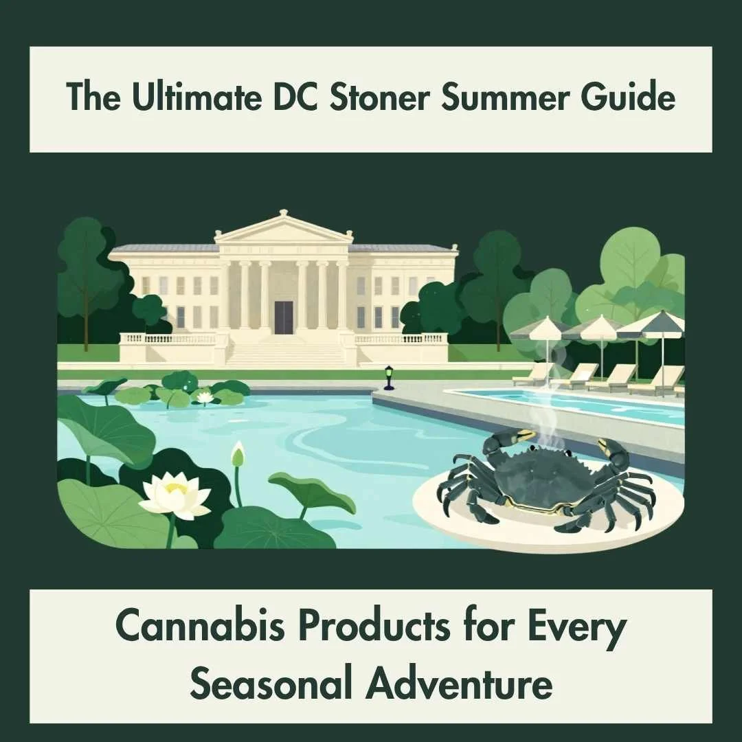 The Ultimate Washington, DC Summer Guide: The Best Cannabis Products for Every Seasonal Adventure