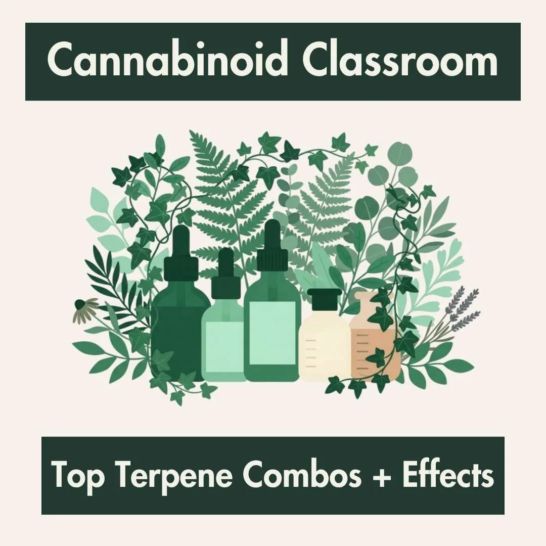 Terpene Combinations: How Aromatic Compounds May Shape the Cannabis Experience
