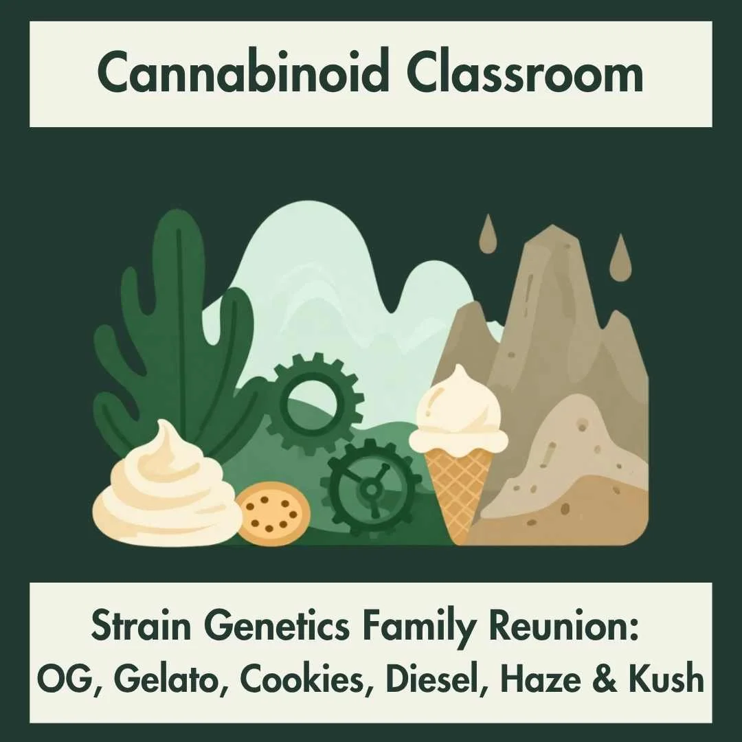 Cannabis Strain Families Explained: The History, Genetics, and Best Strains to Try