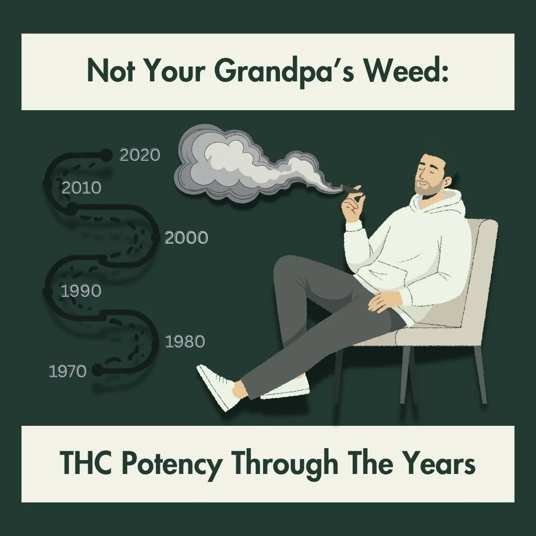 From 1% to 30%: How Cannabis THC Potency Has Changed Through the Years