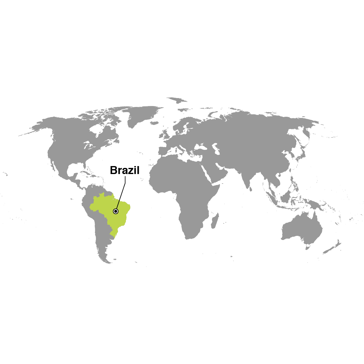 açaí juice supplier Brazil