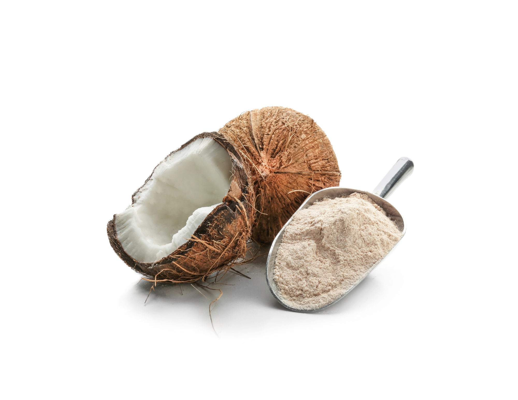 Coconut Milk Powder - Dairy-Free & Versatile | iTi Tropicals ...