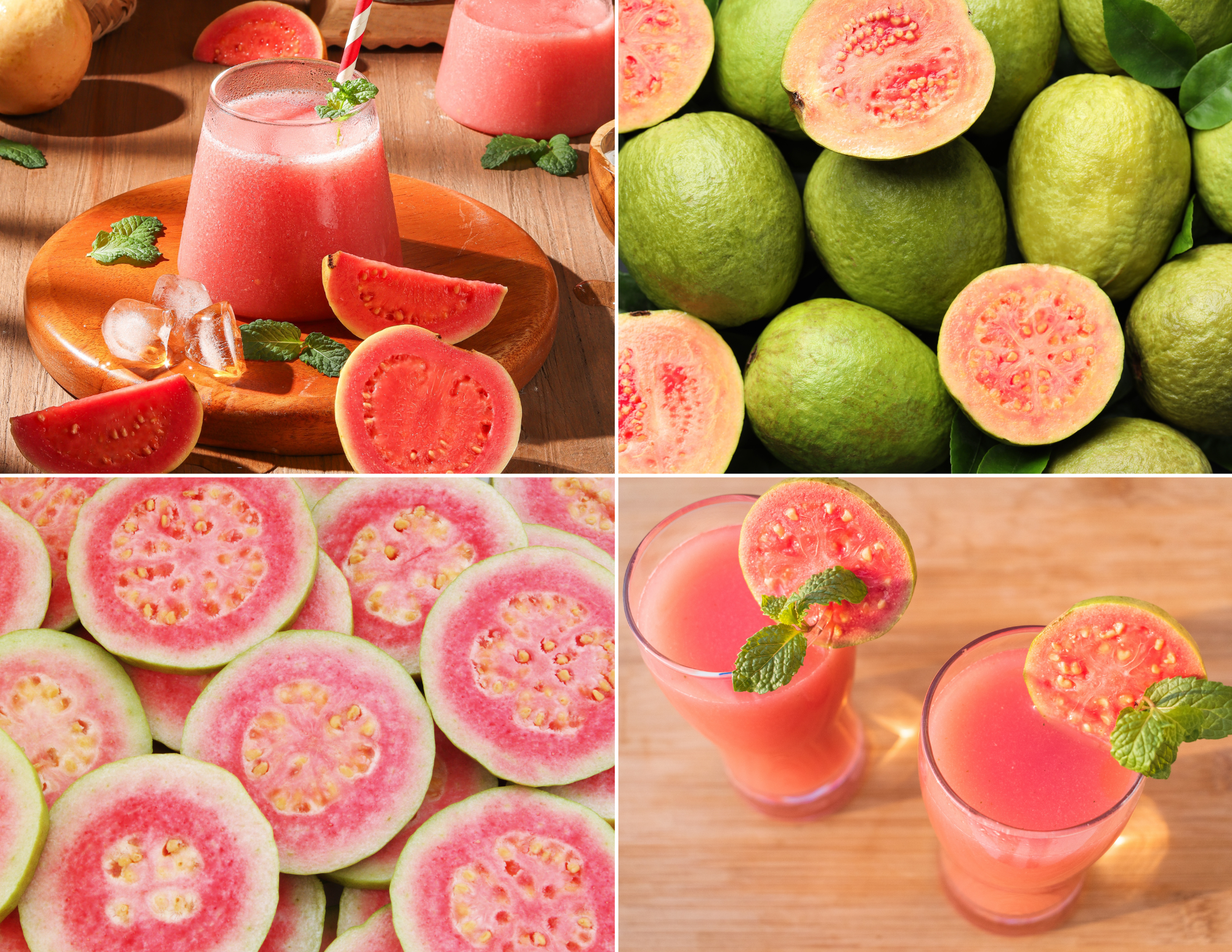 Guava Season Is Underway—Now Is the Time to Plan