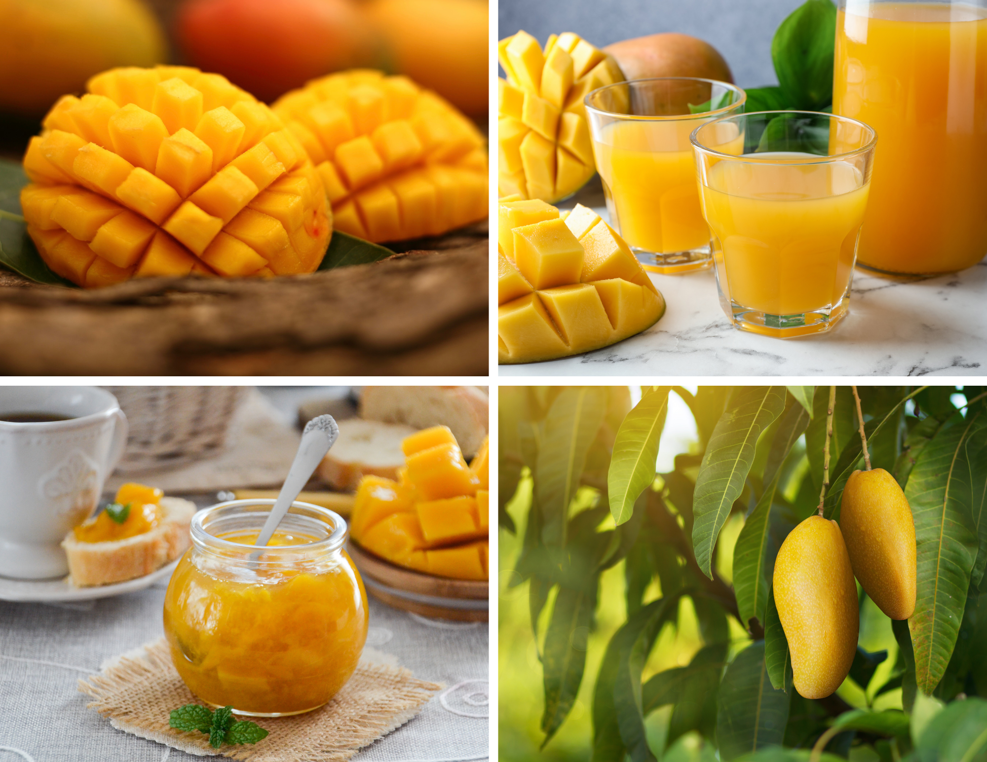 Mango Isn’t Just a Trend—It’s a Staple Driving Innovation