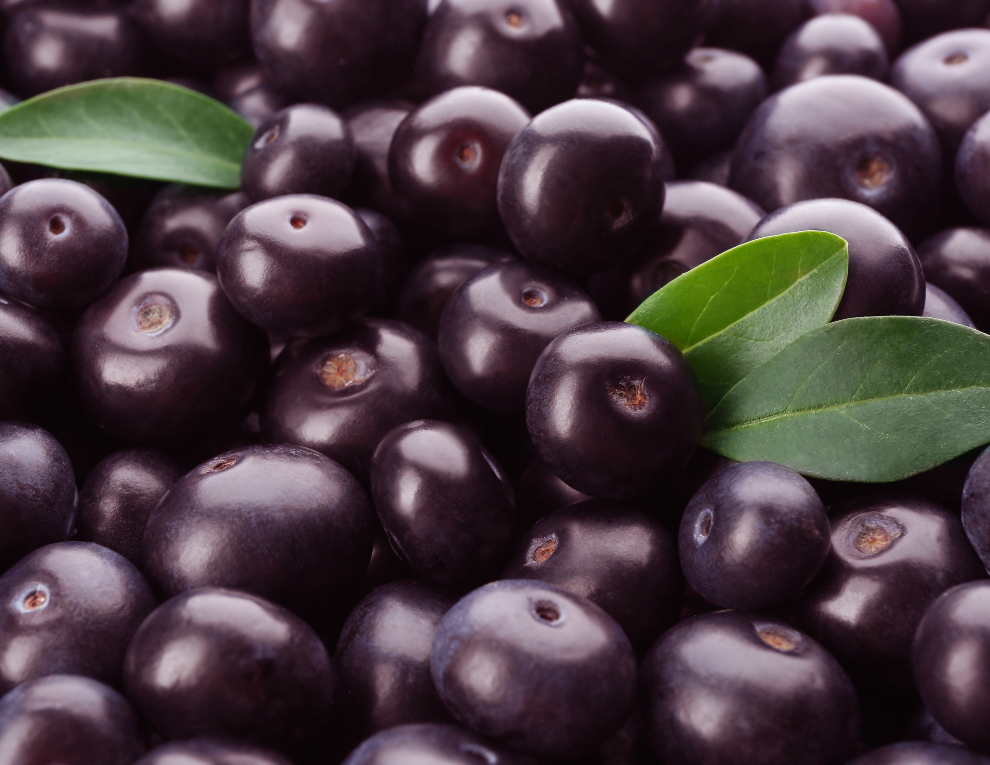Açaí Season Has Arrived: Why the Amazonian Superfruit Continues to Inspire Product Innovation