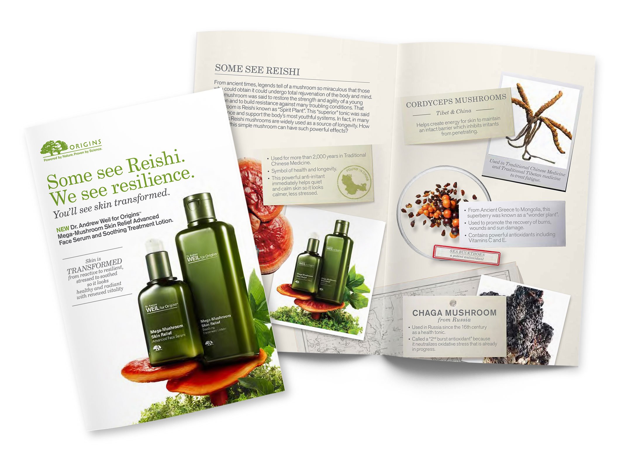 Origins_Brochure.jpg