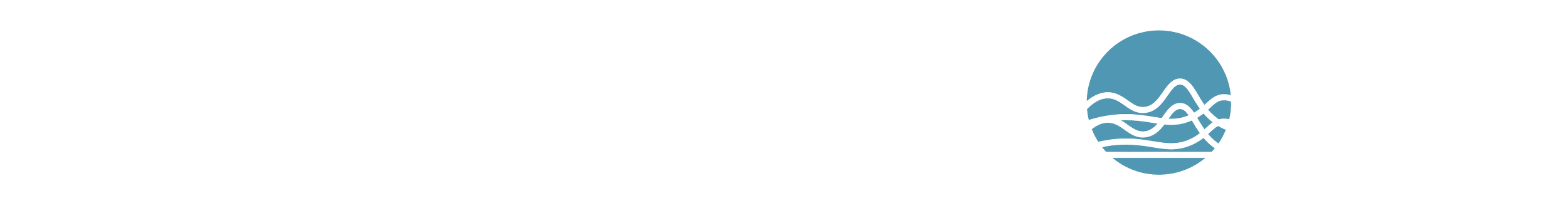 Postpartum Pro logo with text and a stylized blue water wave icon