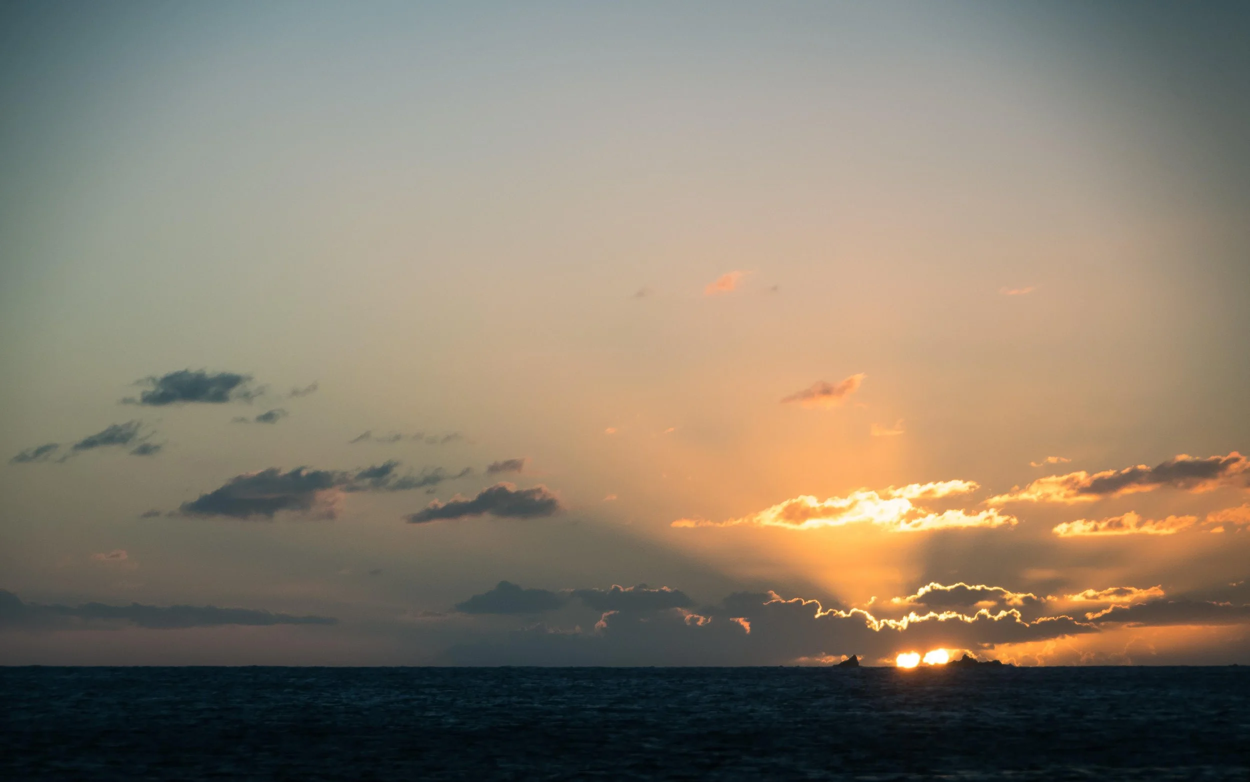20190220-WAL_8097.jpg