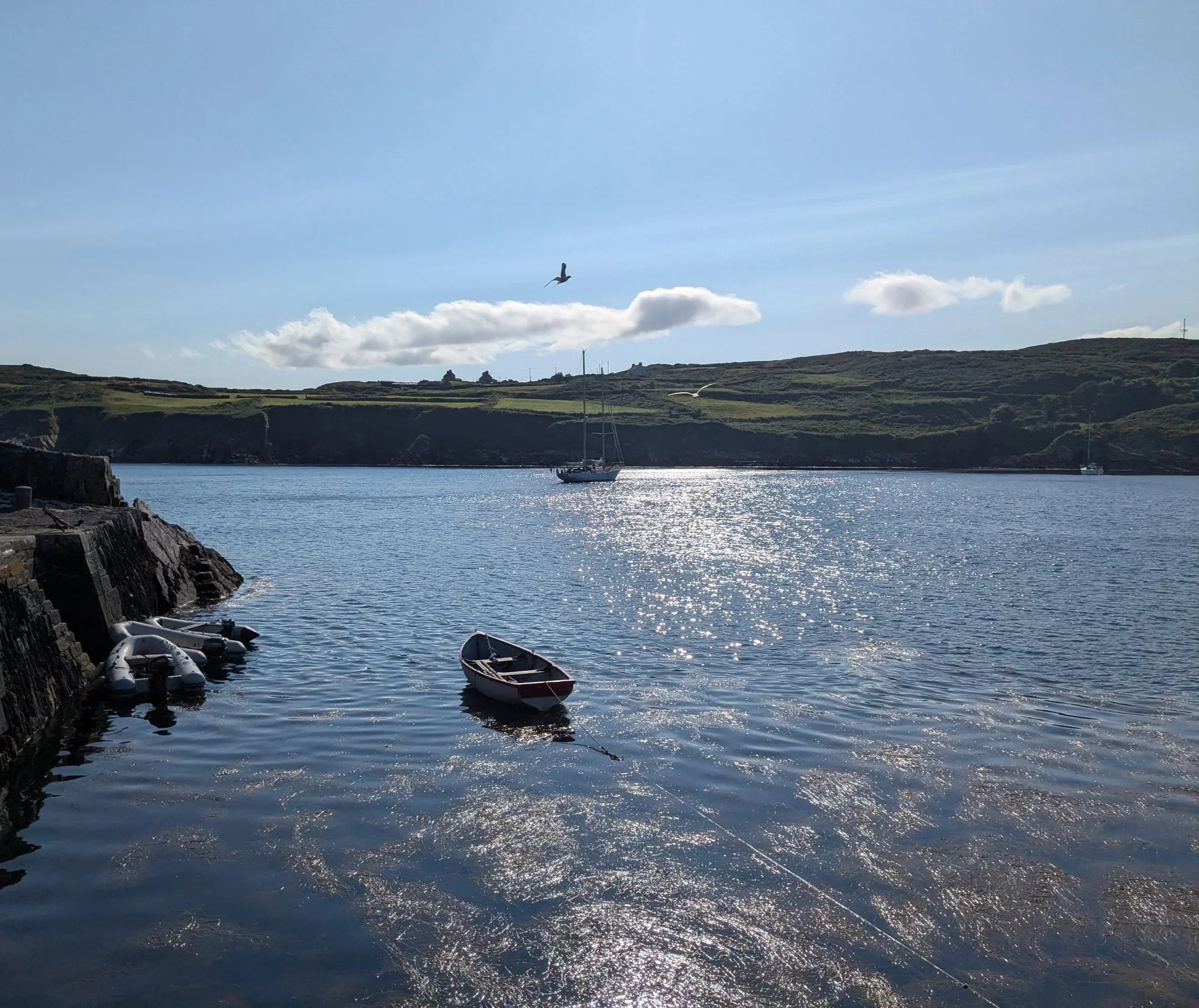 irish-harbour-rowing-boat.jpg