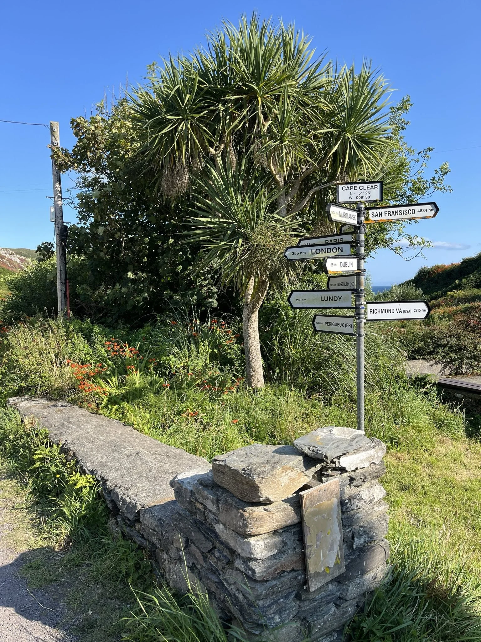 signal-2025-07-29-192418.jpeg