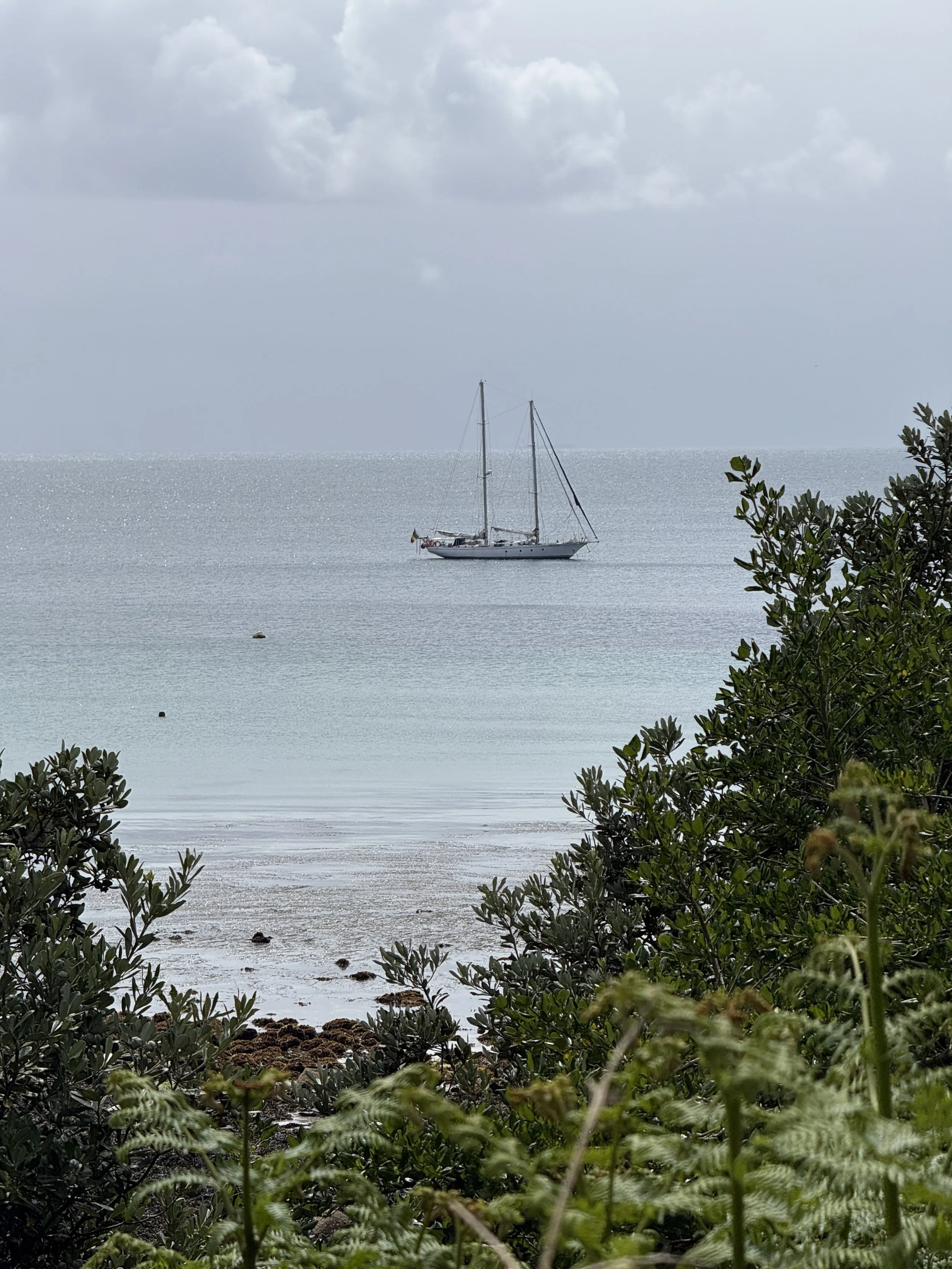 IMG_6798.JPG