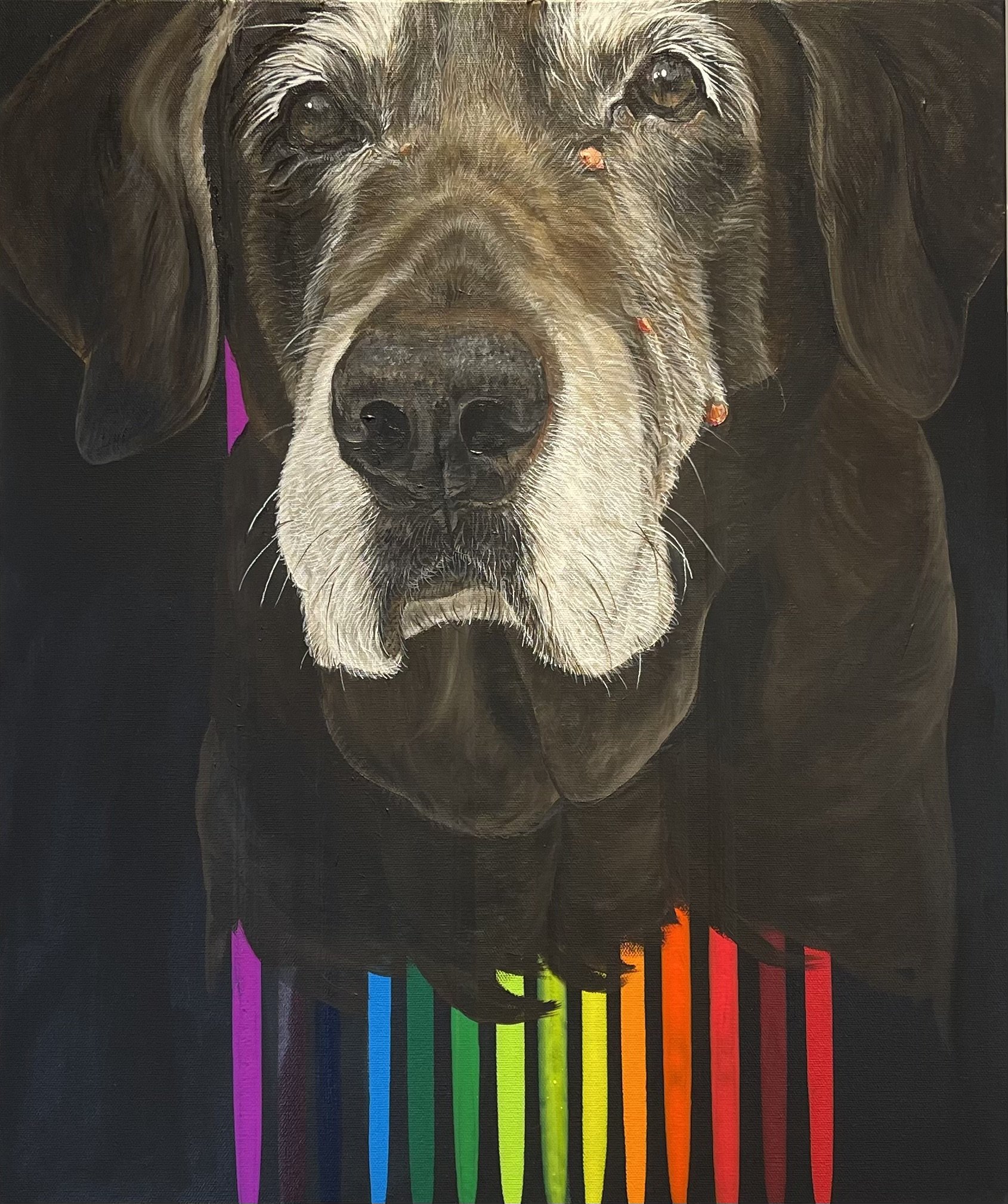 Gus - 20x24