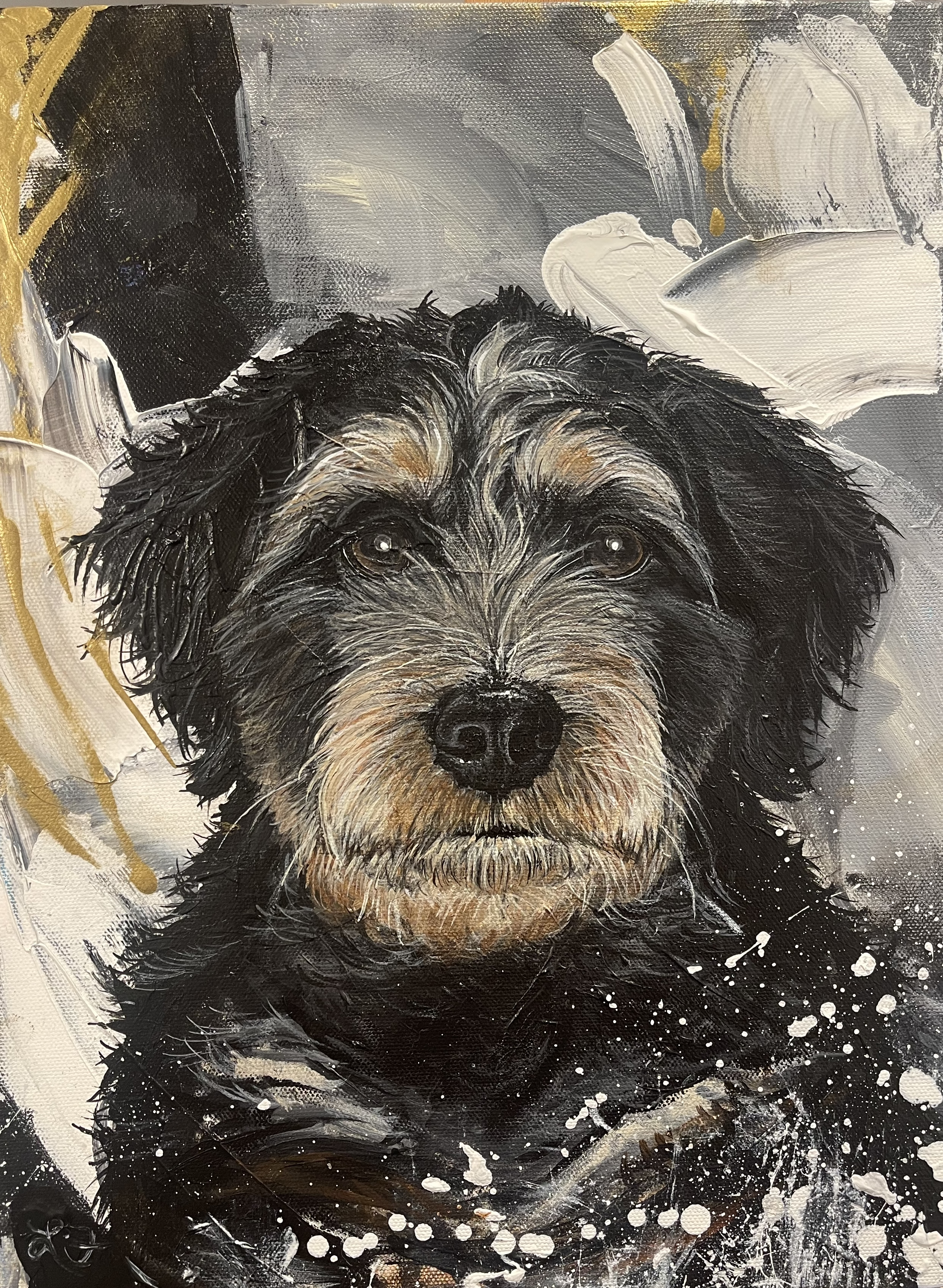 Finn - 12x16