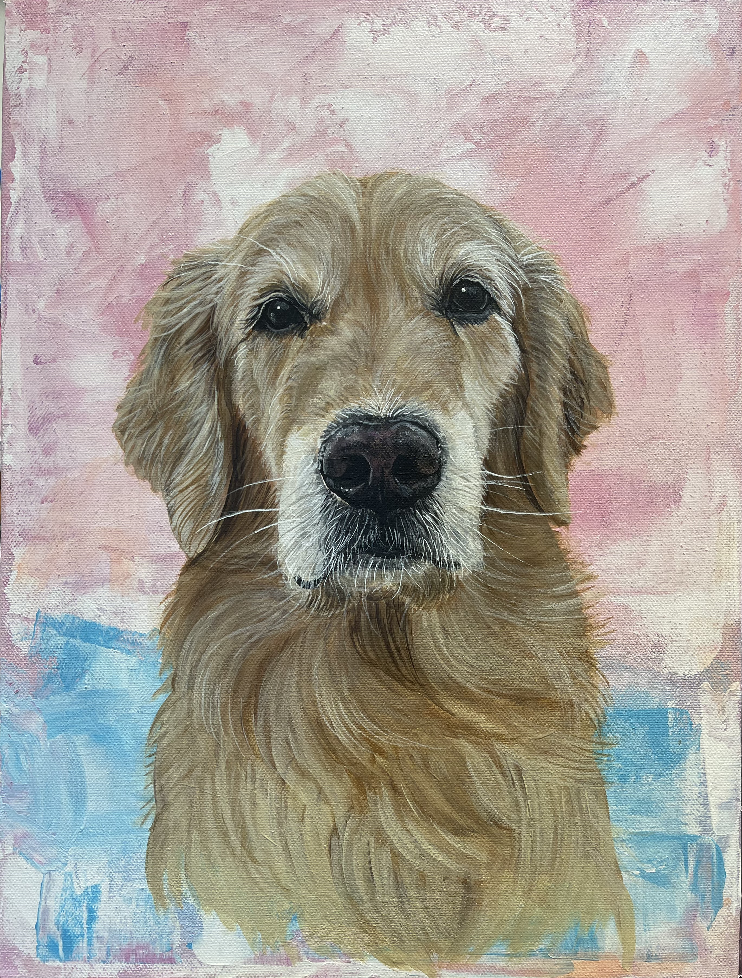Cooper - 12x16