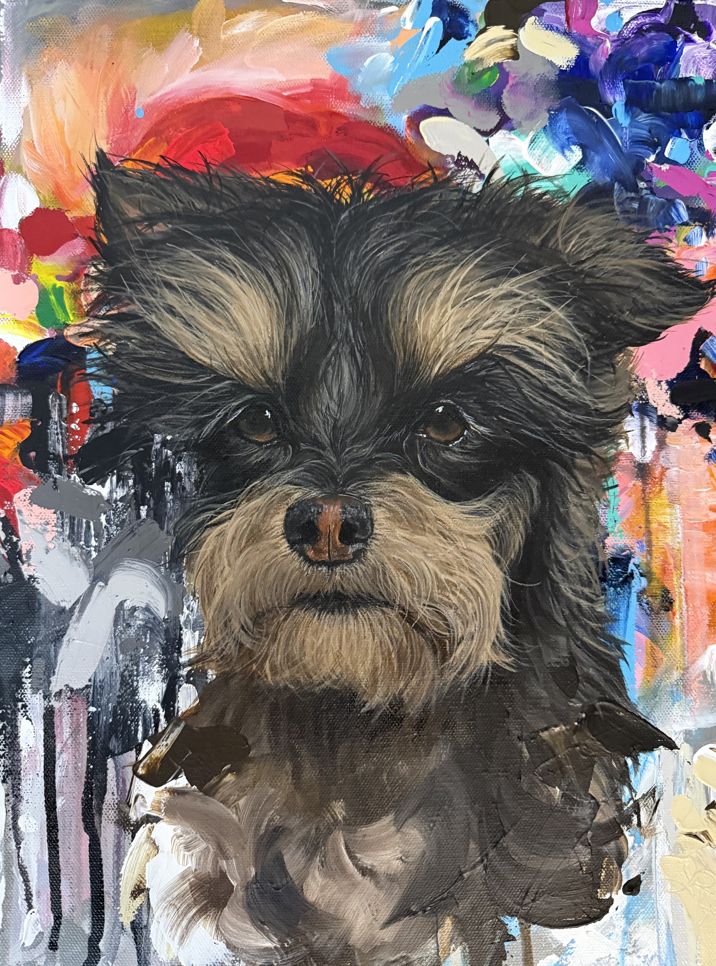 Norbert - 12x16