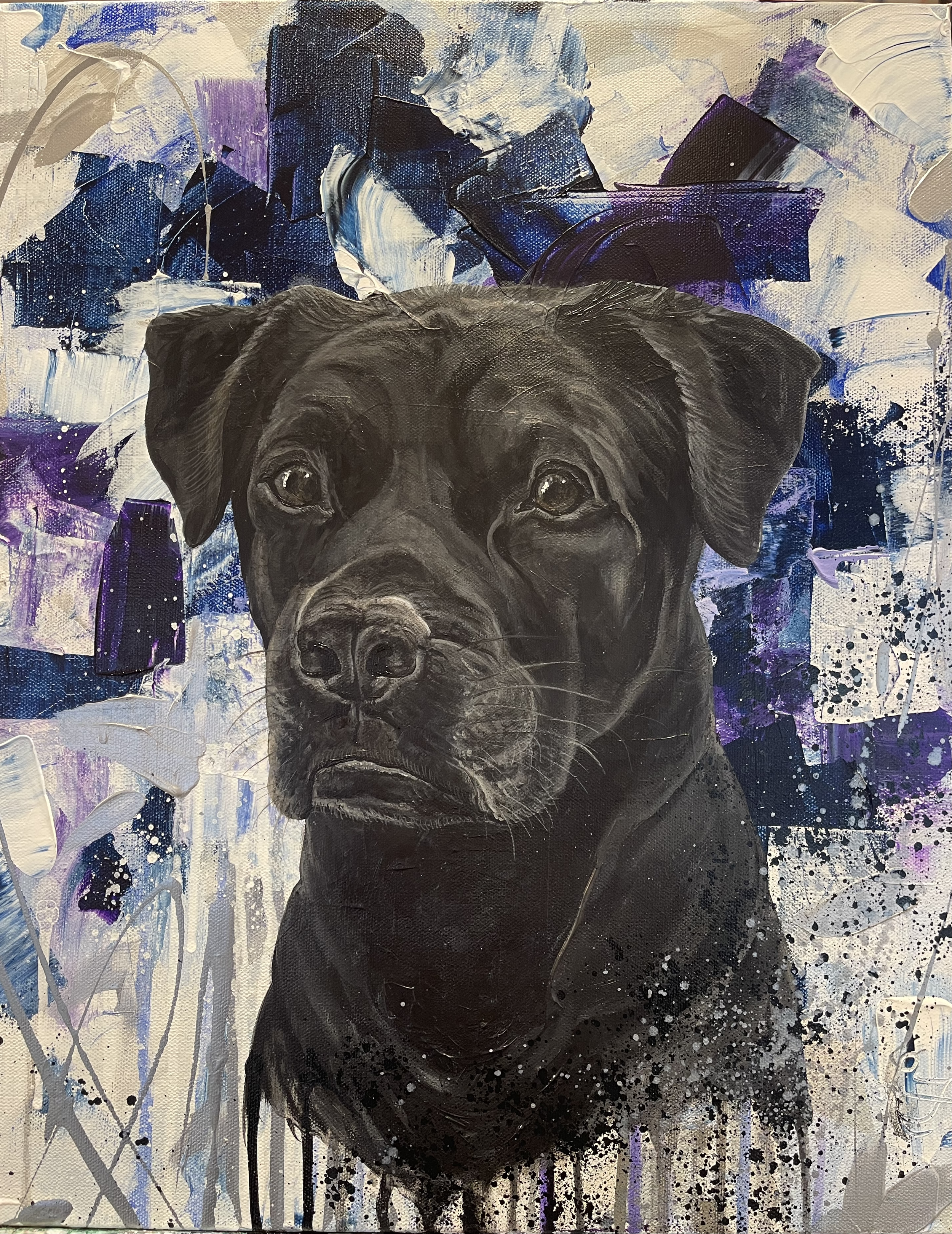 Rex - 16x20