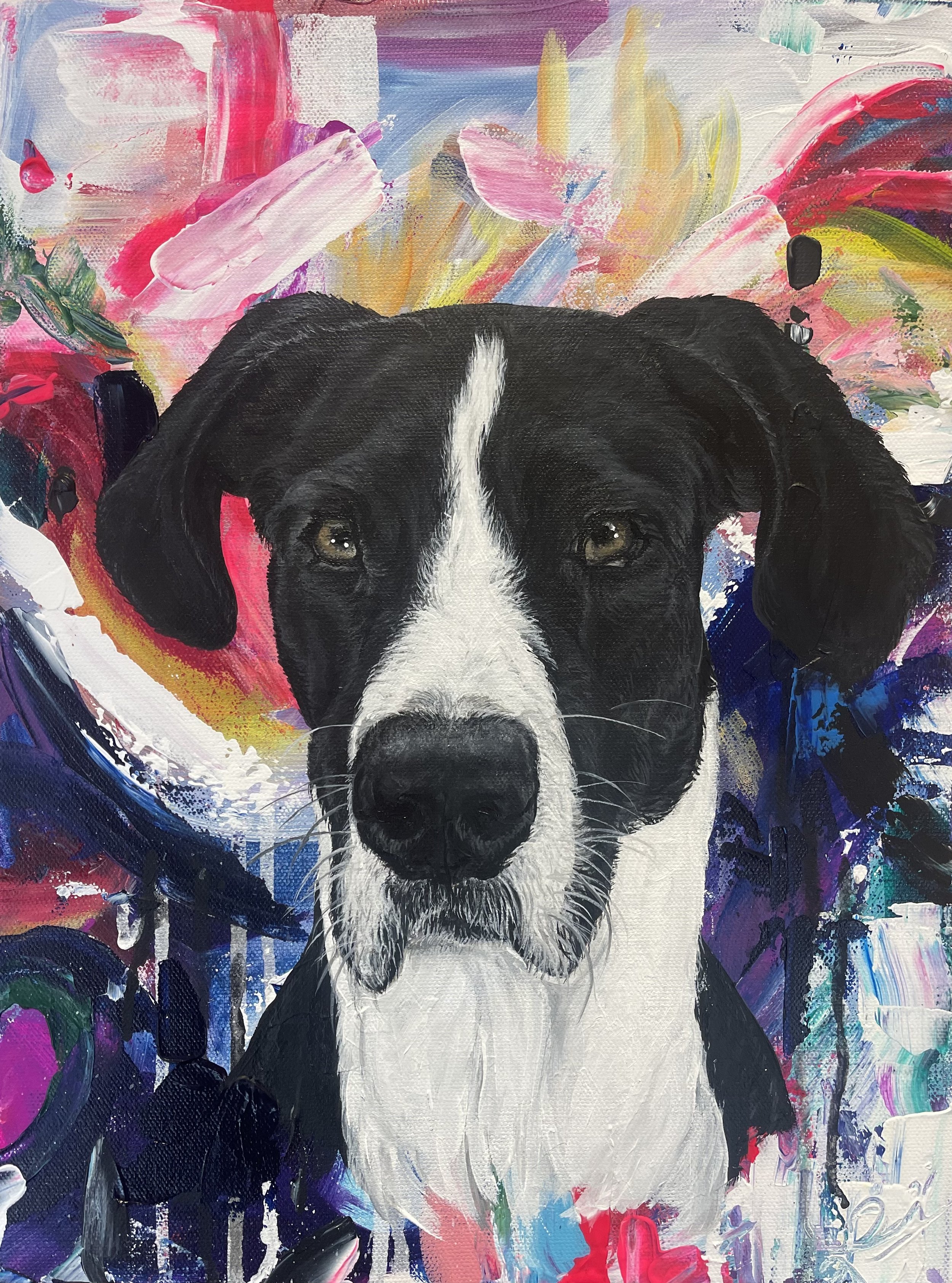 Oreo - 12x16