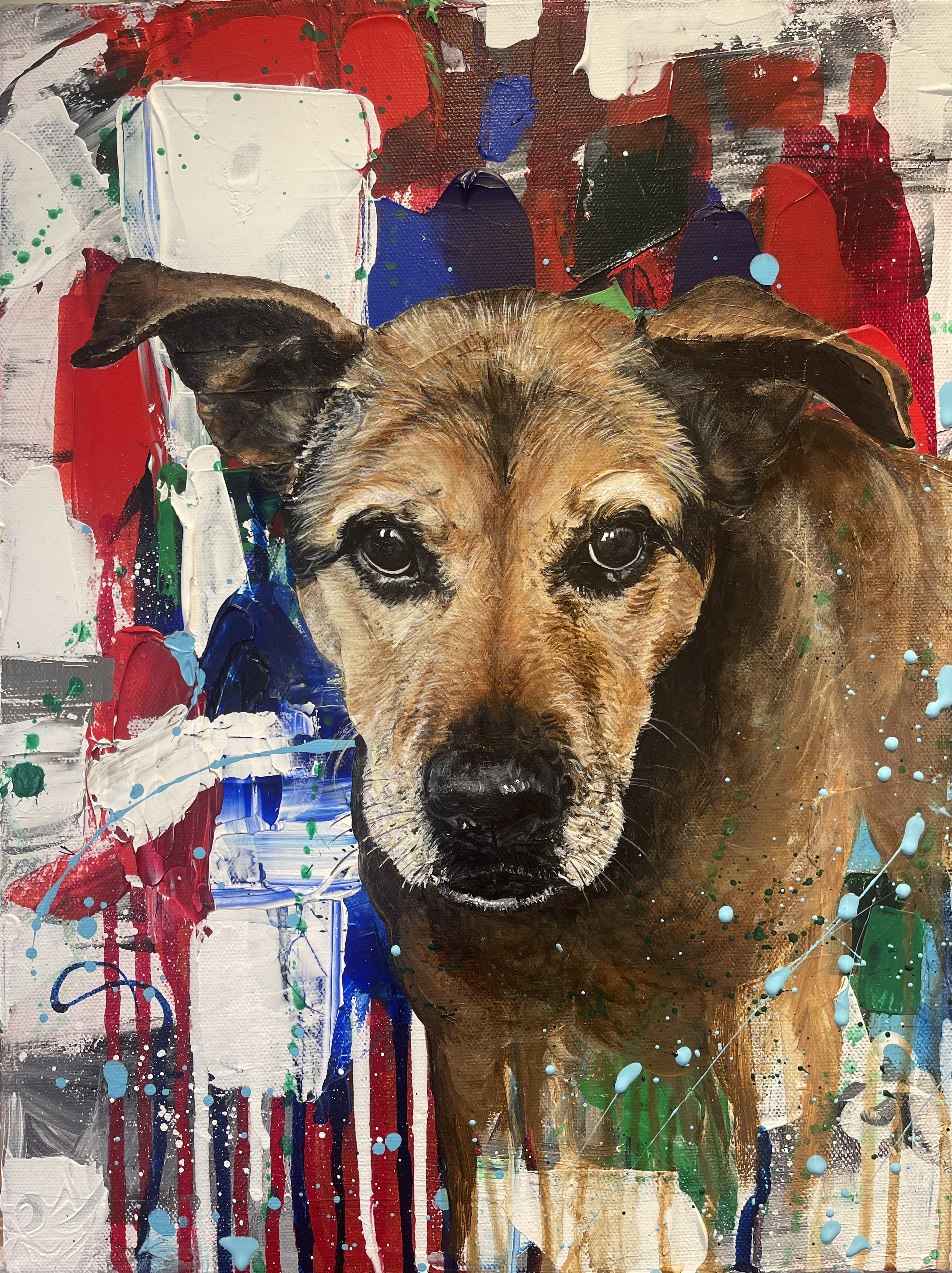 Frankie - 12x16