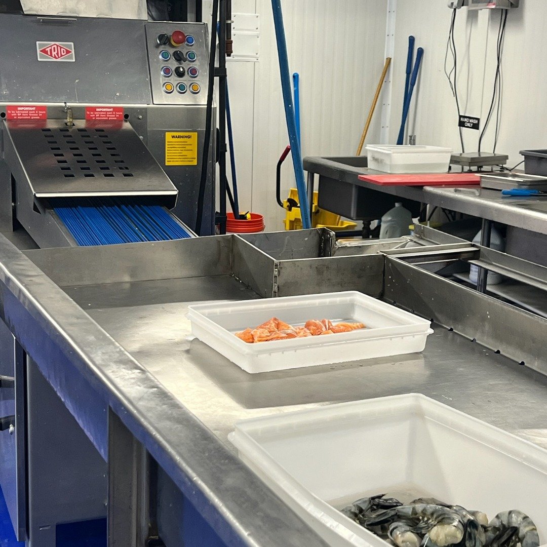 From the sea to your plate! Fish caught by Local Catch 143 fishermen is processed and sold the next day at @mullaneysseafood. Experience the freshest flavors with Mullaney's seafood! 🦐 

#seatoplate #mullaneysseafood #freshseafood #eatlocalfish #loc