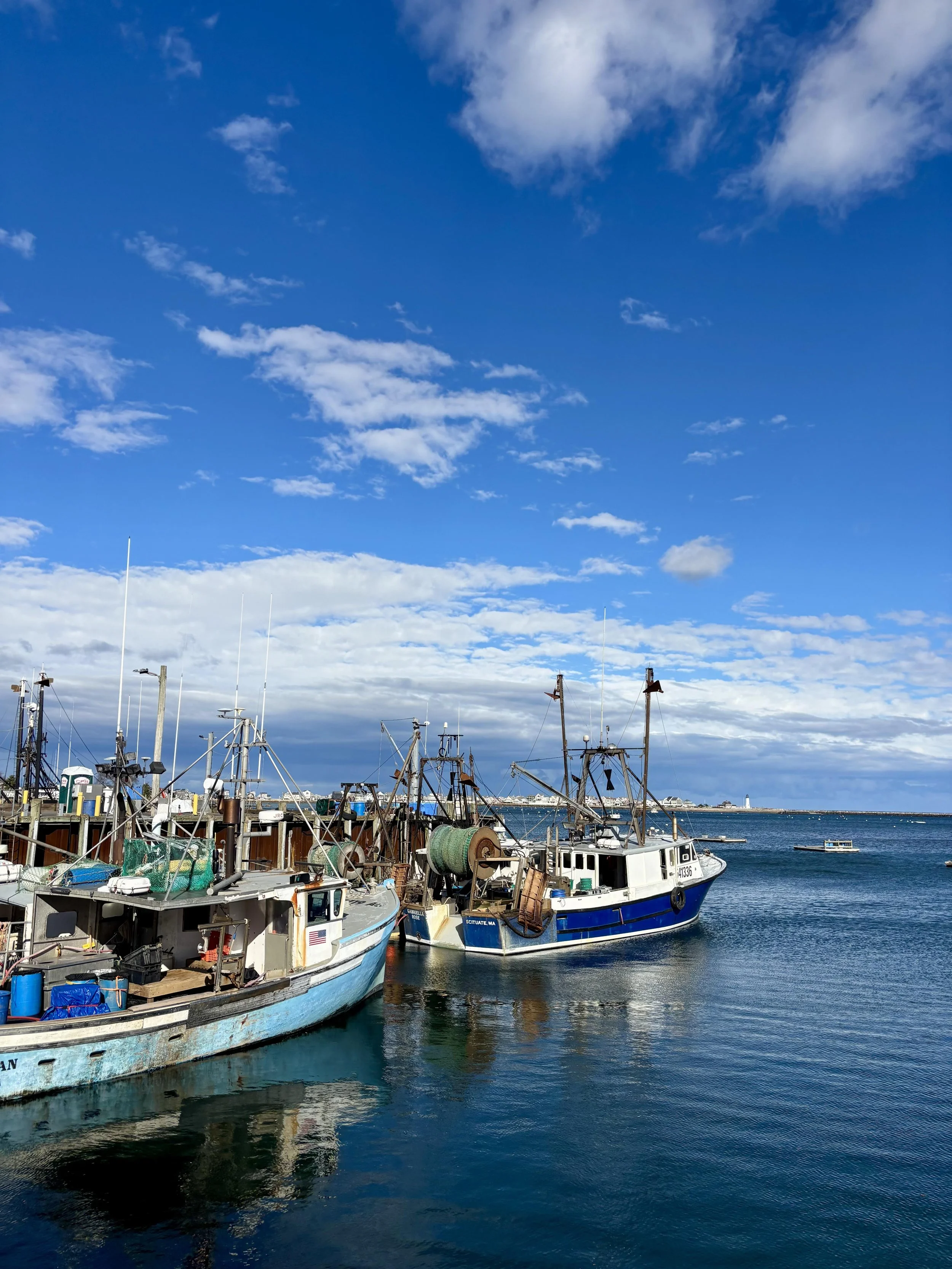 US Department Of Agriculture Announces the Creation of an Office Of Seafood