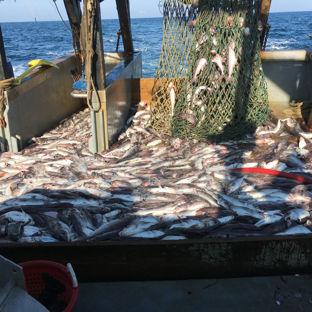 Some Things Fishy