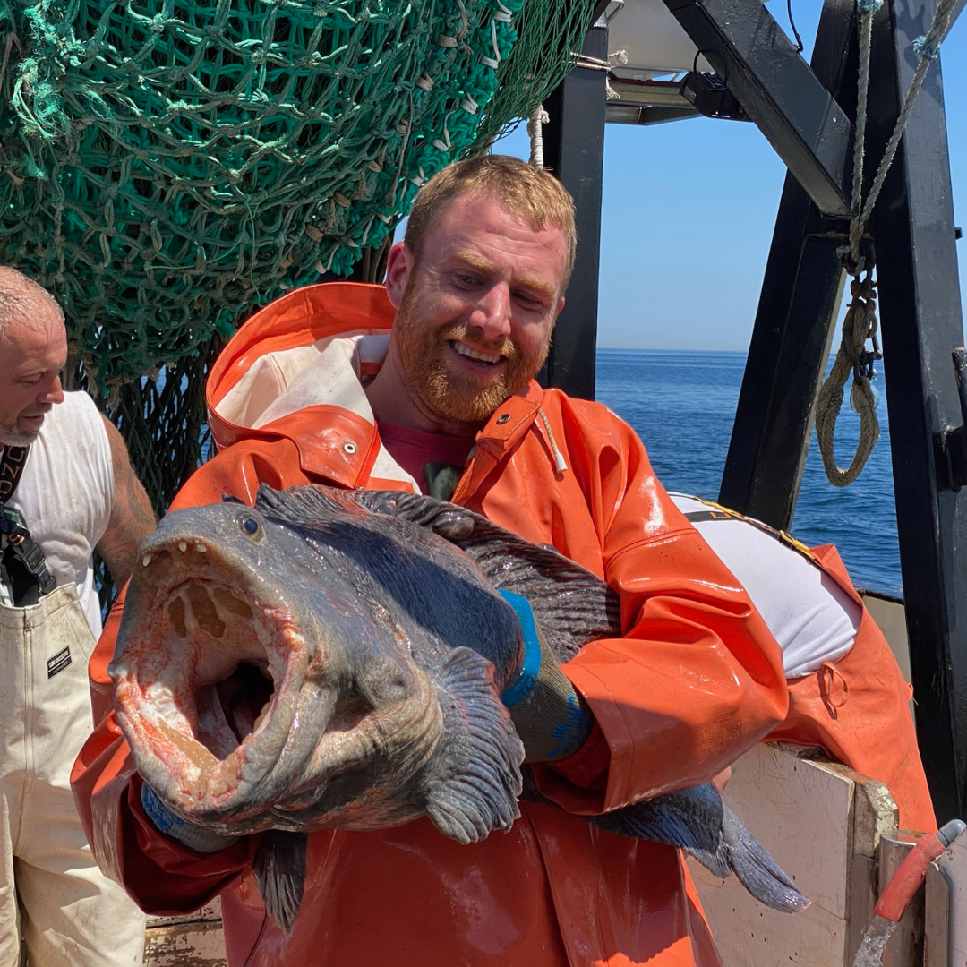 93 Fish Our Story — Local Catch 143