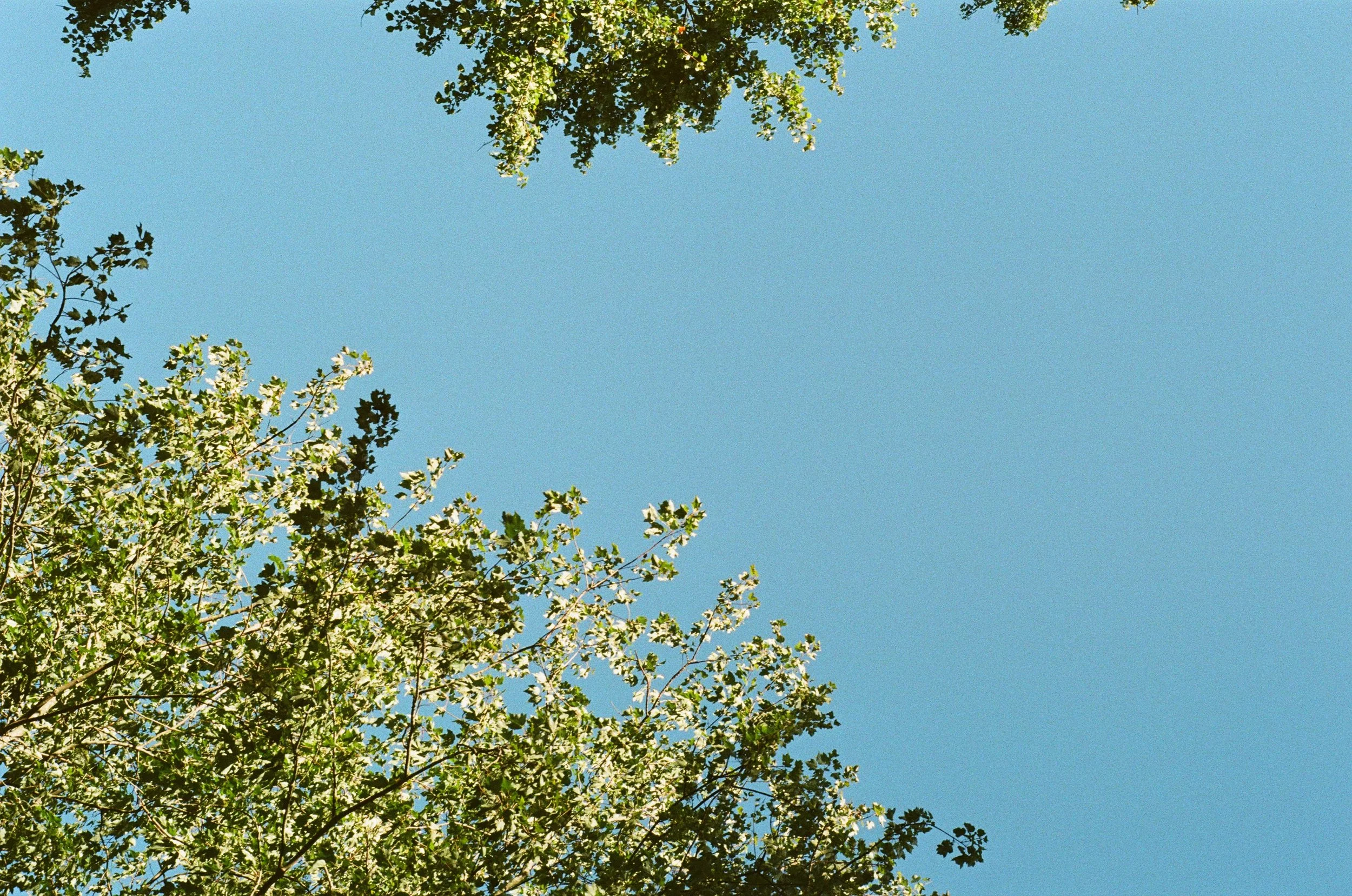 LIMITS & MEDITATIONS