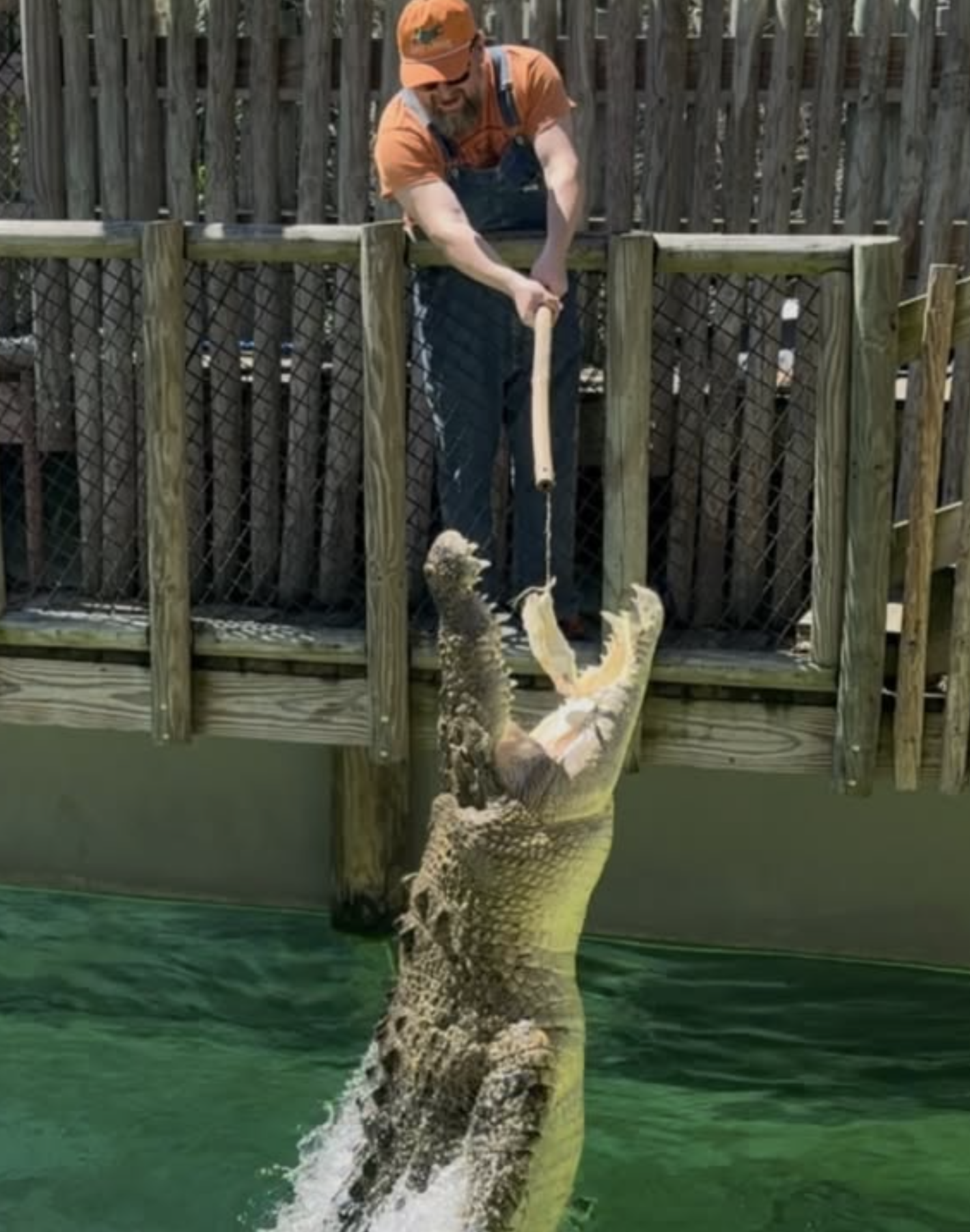 Screenshot 2026-01-12 at 10.22.41 PM.png