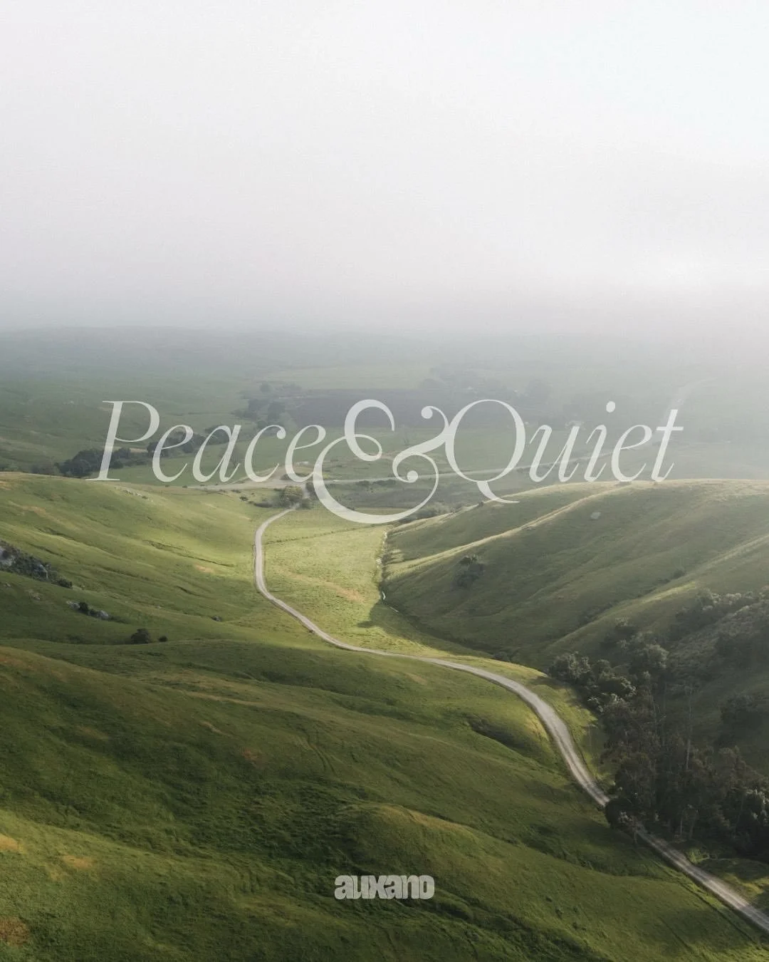 may the Lord cultivate within us a deep desire to lead a quiet life 
-
Freelance / Sermon Graphics / Dawson College Ministry