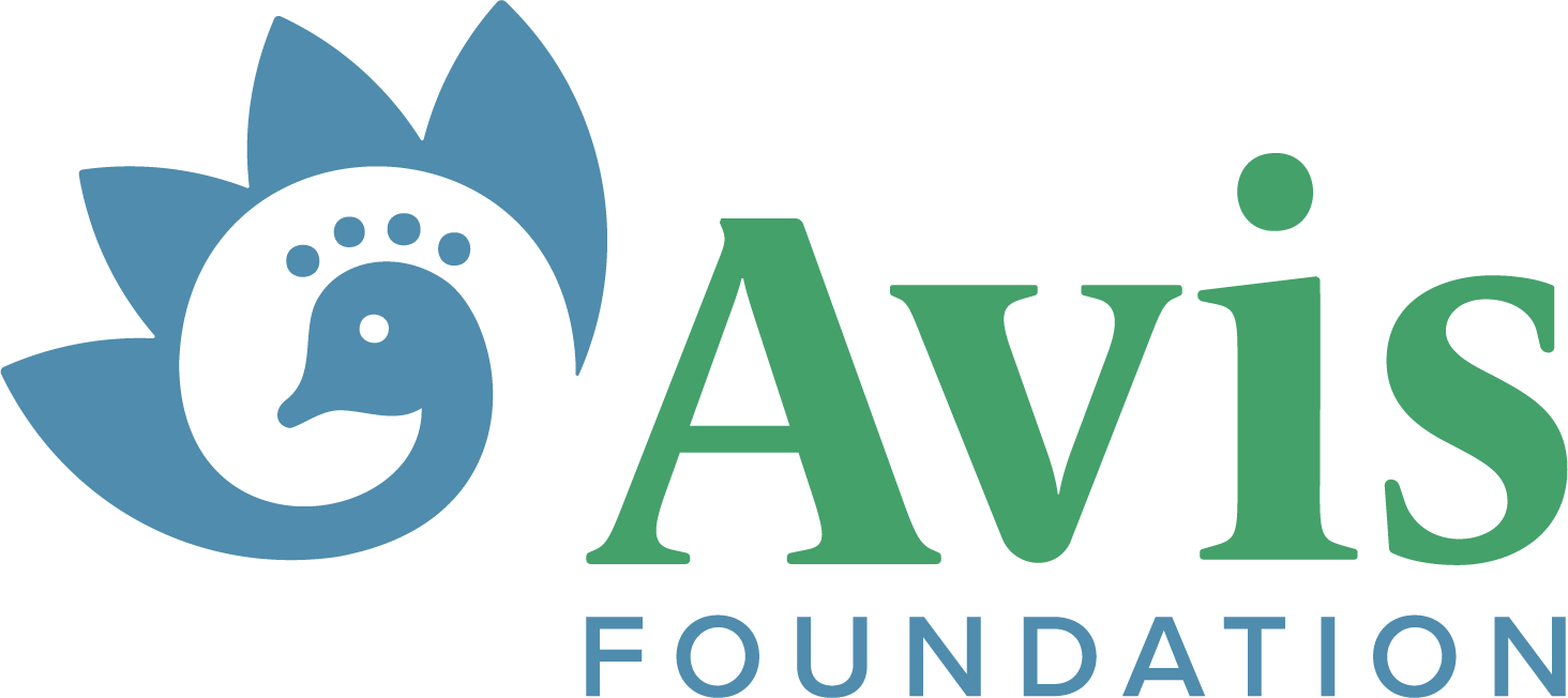 Avis Foundation